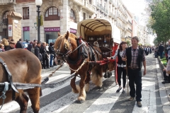 Tres tombs 2017