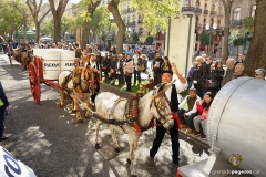Tres Tombs 2018 Tarragona