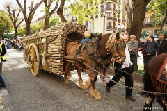 Tres Tombs 2018 Tarragona