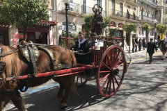 Tres tombs 2017