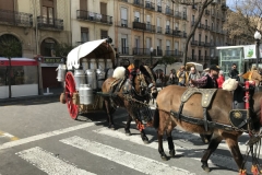 Tres tombs 2017